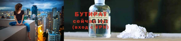 индика Сосновка